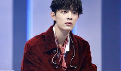 吃瓜爆料热巴肖战,瓜田里的甜蜜邂逅